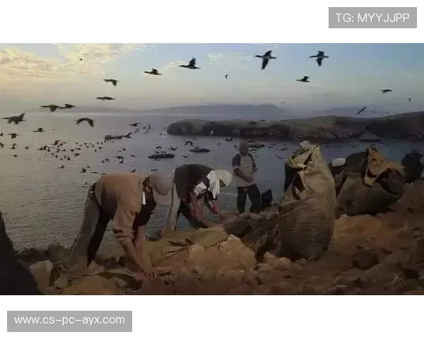 亚历山大30+成常态，西部霸主路在脚下