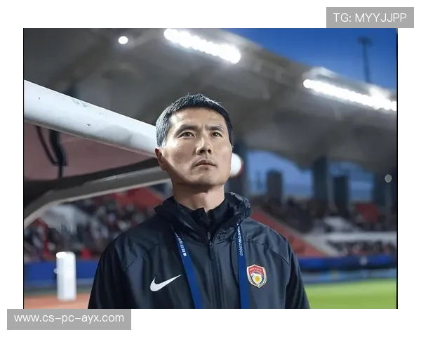 南美两大归化即将到位，邵佳一格局拉满